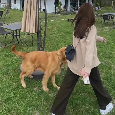 豪门少爷俏佳人